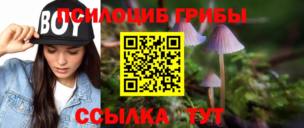 Галлюциногенные грибы GOLDEN TEACHER Усть-Джегута
